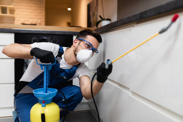 Best Pest Inspection Near Me  in Williamsburg, KY