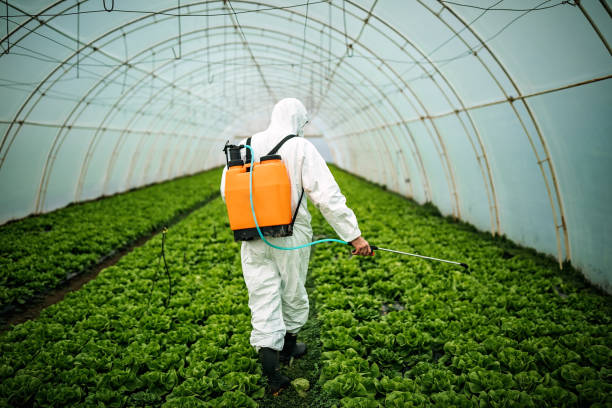 Best Pest Removal Services  in Williamsburg, KY
