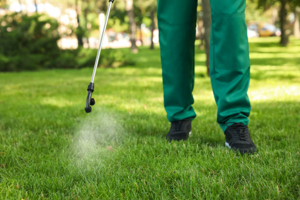 Reliable Williamsburg, KY Pest Control Solutions