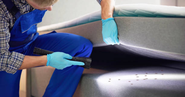 Best Mosquito Control Services  in Williamsburg, KY